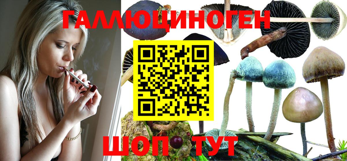 Псилоцибиновые грибы мицелий Коломна