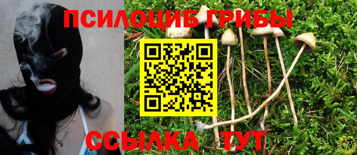 Псилоцибиновые грибы MAGIC MUSHROOMS  Галлюциногенные грибы мухоморы  Коломна  Вход с VPN 